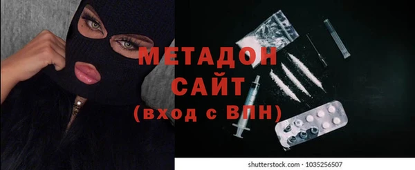 шишки Дмитриев