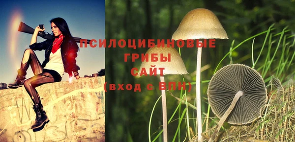 шишки Дмитриев