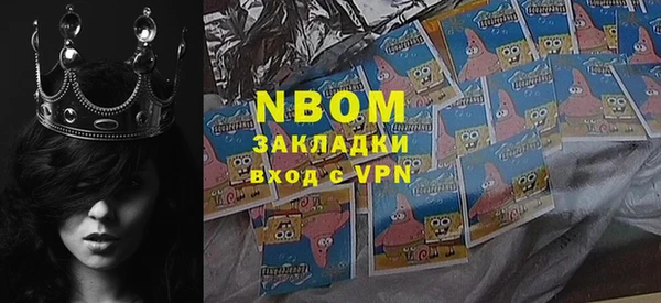 шишки Дмитриев