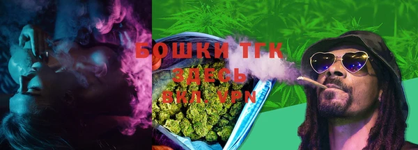 шишки Дмитриев