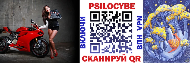 KRAKEN онион  Дятьково  Галлюциногенные грибы Psilocybine cubensis 