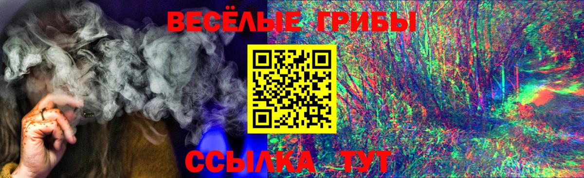 Галлюциногенные грибы мухоморы Дятьково
