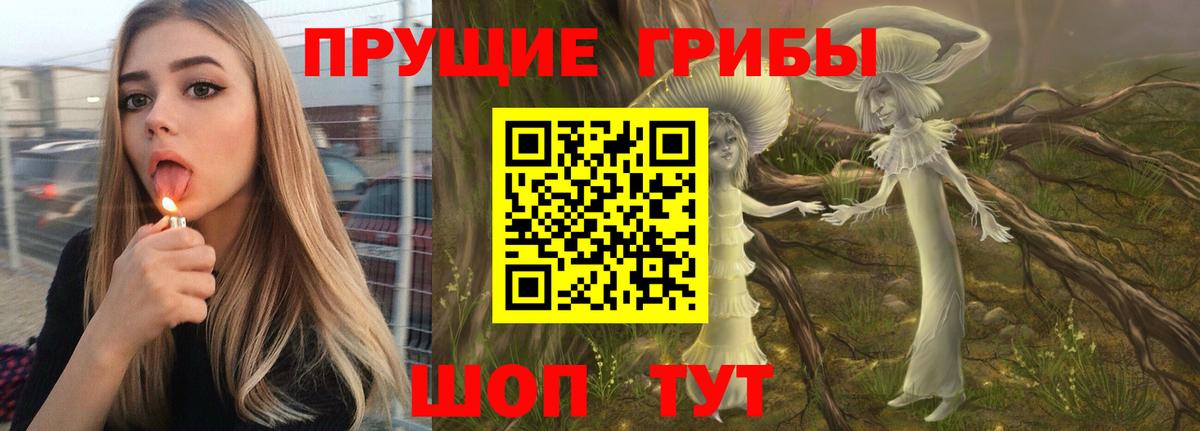 Псилоцибиновые грибы Magic Shrooms  Вход с VPN  Дятьково 